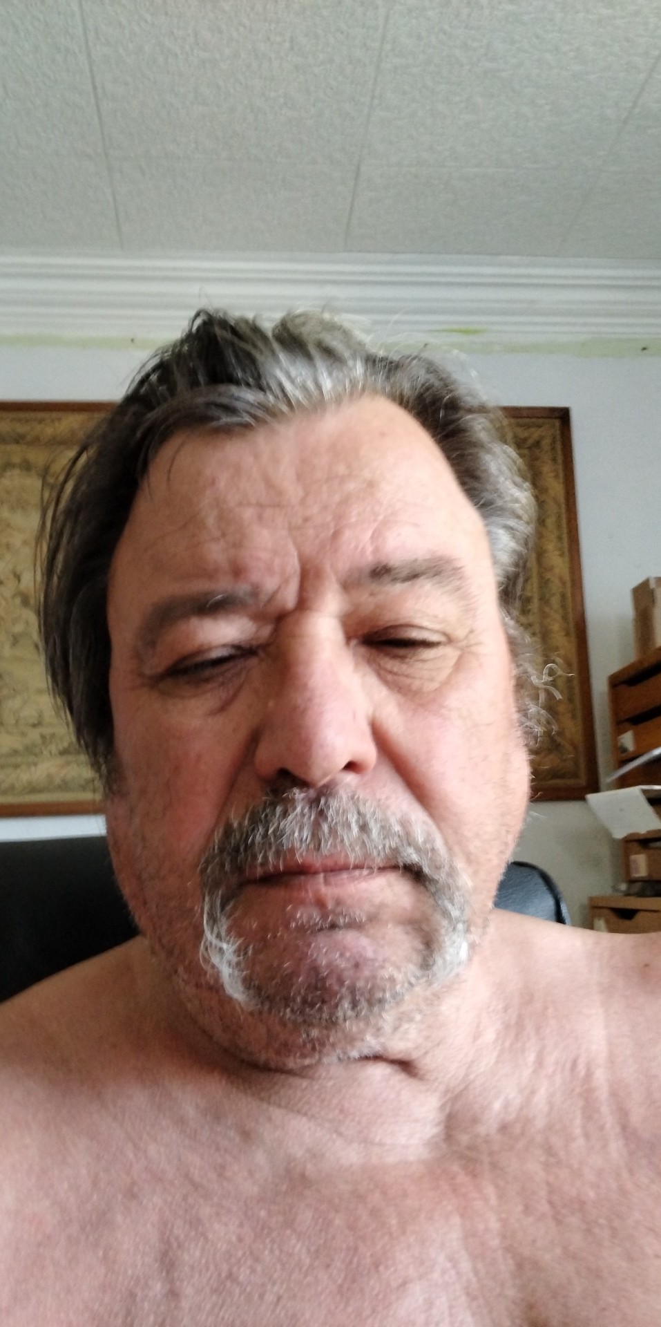 Profil von Mehmed